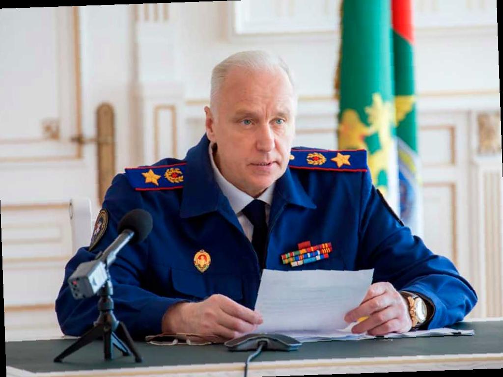 Бастрыкин проверит информацию о нападении собаки на ребёнка в ЖК «Моравия» в Сочи