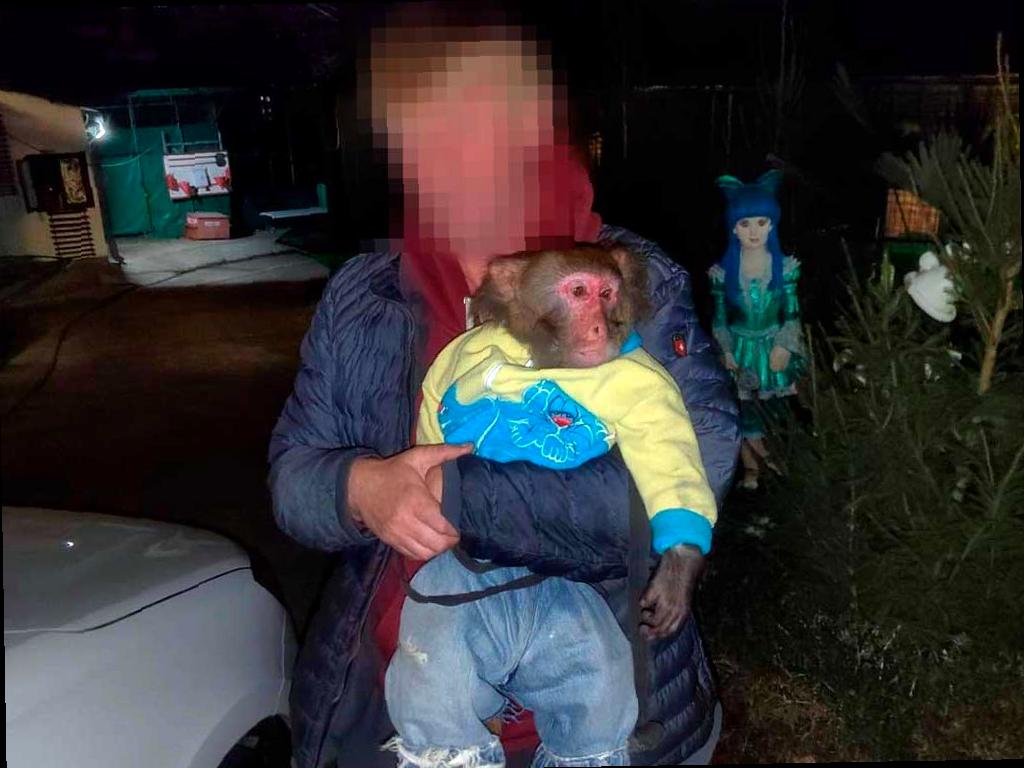 Сочи принимает меры против фотографов, содержащих диких животных