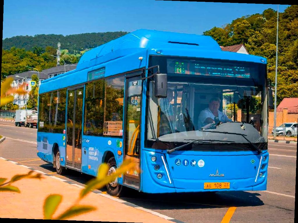 В Сочи изменится маршрут автобуса №86, который сократят до Автовокзала с 1 июля. Изменения затронут ряд остановок, которые были опубликованы ранее. Кроме того, с завтрашнего дня будет курсировать круглосуточный автобус №105а от железнодорожного вокзала до аэропорта. Подробности можно узнать на сайте sochinews.io.