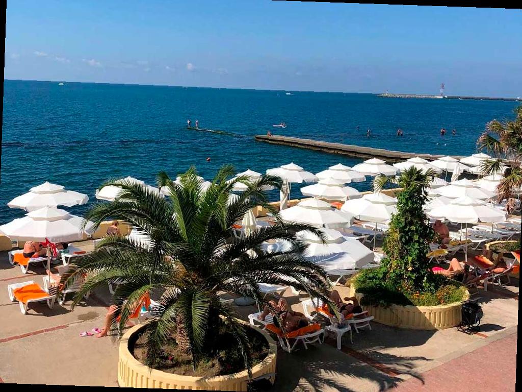 Более 15 тысяч исследований проведено на пляжах и воде в Сочи