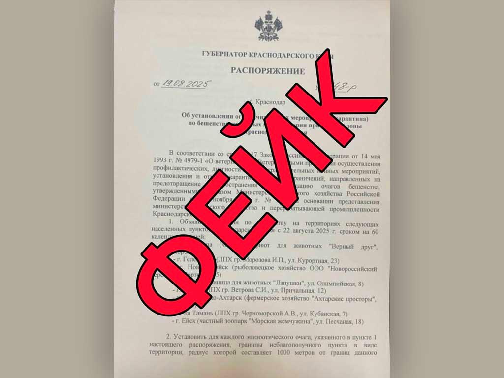 Кубанский оперштаб развеивает мифы о карантине по бешенству у животных в прибрежной зоне. В последнее время появилась информация о том, что губернатор ввел такой карантин с 22 августа, но это не соответствует действительности.
