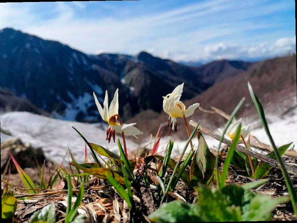 Открывается фотовыставка победителей конкурса «Четыре сезона красоты»