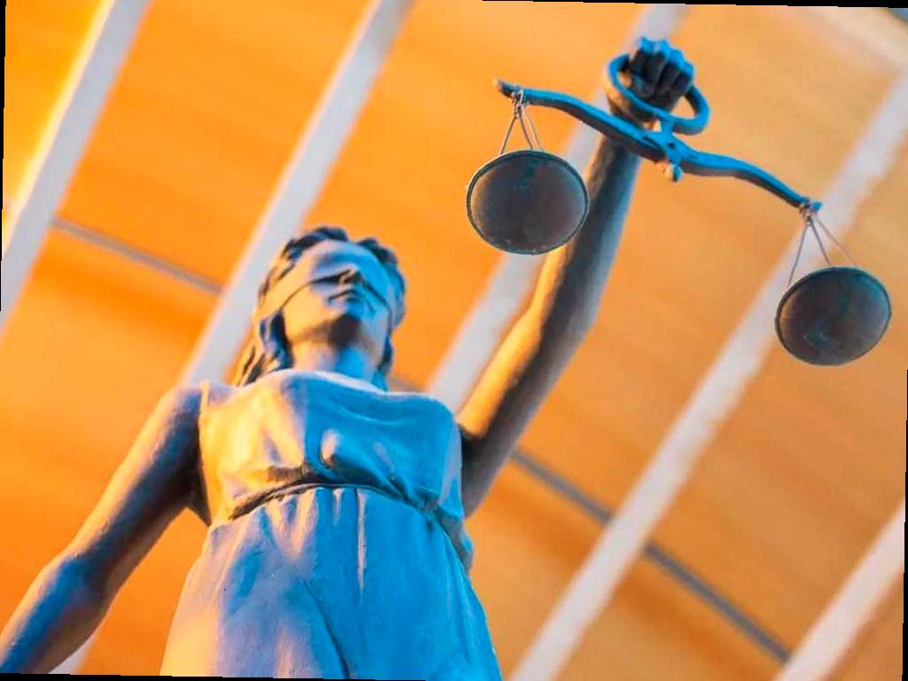 Суд оштрафовал жительницу Сочи на 10 миллионов за вырубку растений на своём участке