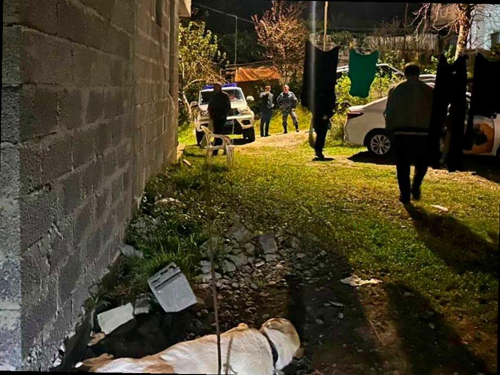 Алабай едва не нанес серьезные повреждения двум детям в Сочи