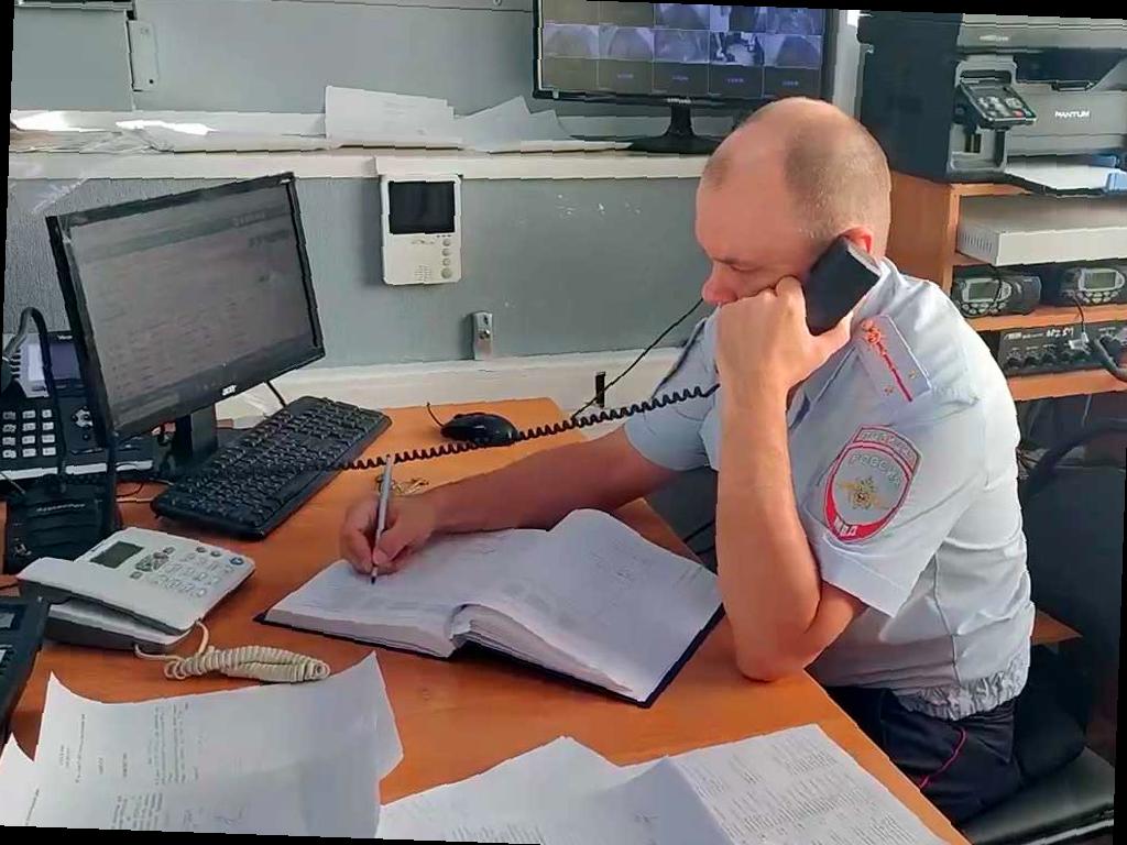 В Сочи начали проверку после сообщений о стрельбе по животным