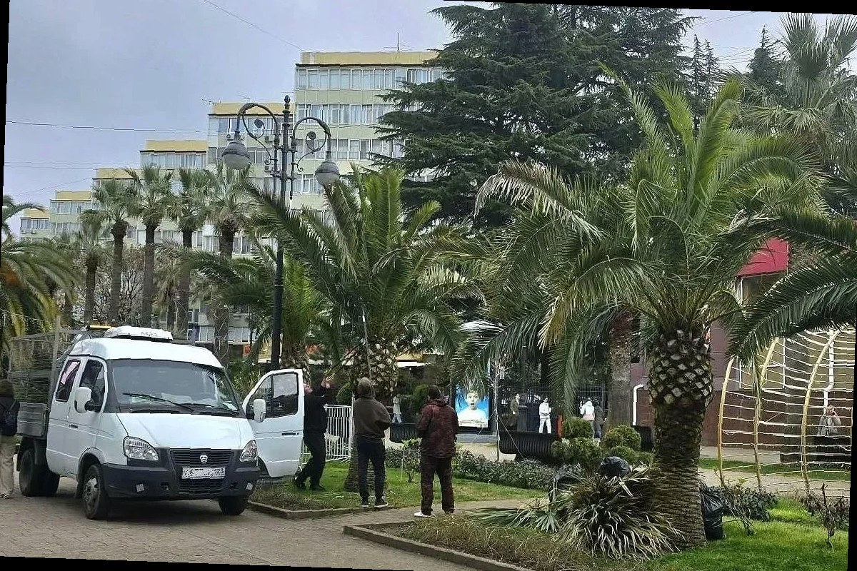 В Сочи начали подготовку пальм к курортному сезону