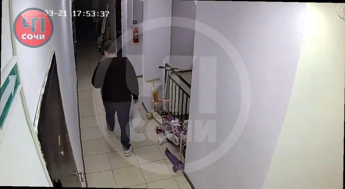 «Заказ не получали»: в Сочи клиенты попытались обмануть службу доставк