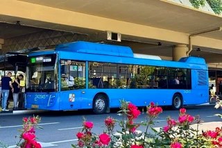 Круглосуточное движение автобуса № 105А начнётся с 1 июня