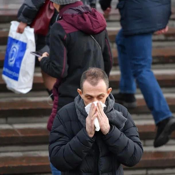 Прорыв в разработке вакцин от аллергии на пыльцу березы и кошек