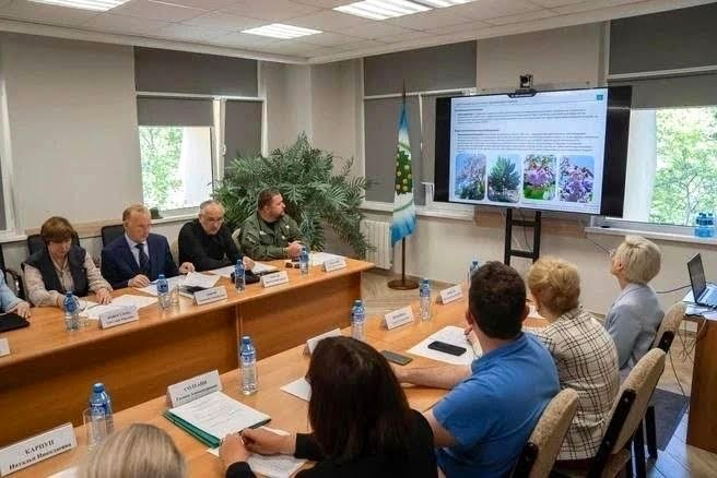 Ученые просят исключить популярные в Сочи растения из списка опасных инвазивных видов