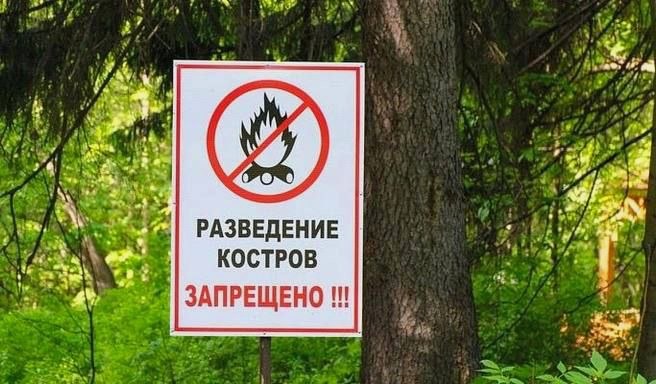 Особый противопожарный режим введён в Сочи с 28 мая
