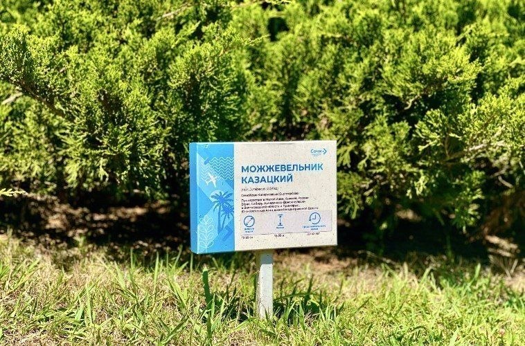 Уникальный тропический сад открыт в аэропорту Сочи