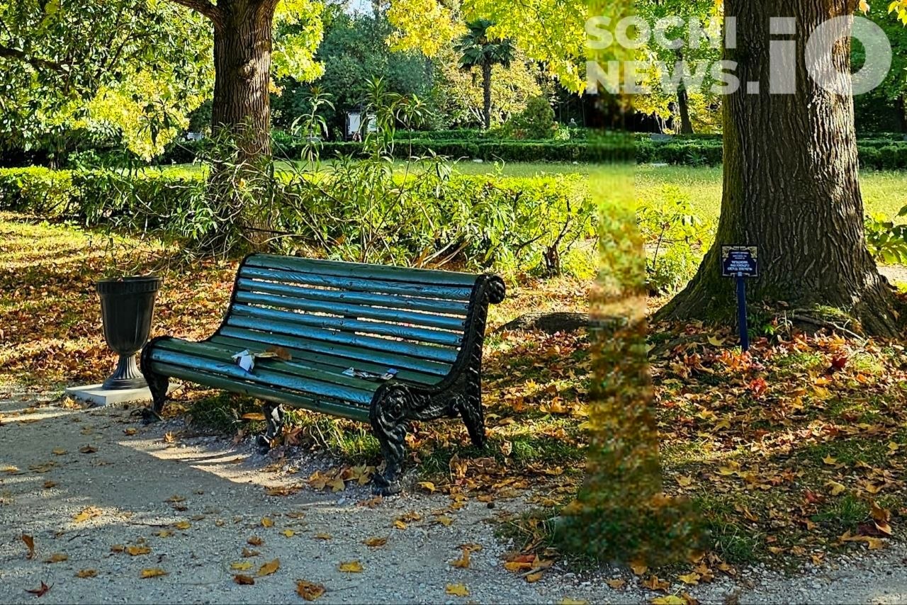 Продление бархатного сезона: климатическая осень в Краснодарском крае
